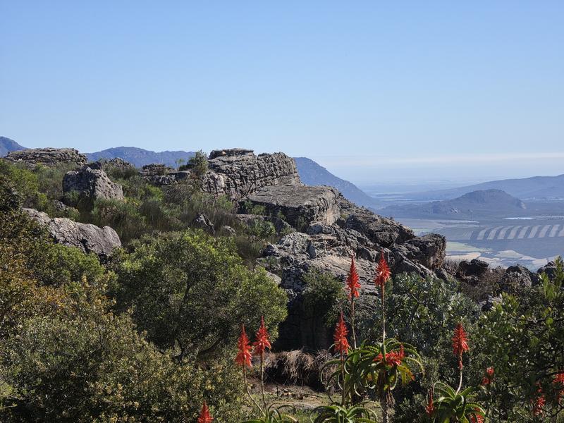 5 Bedroom Property for Sale in Piketberg Rural Western Cape